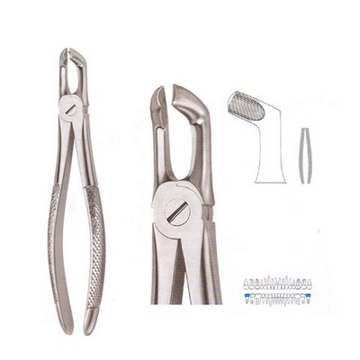 Extracting Forceps